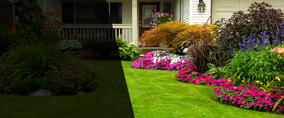 Bellmore Landscapers
