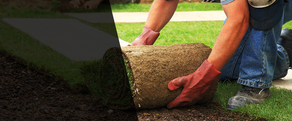 Bellmore Landscapers